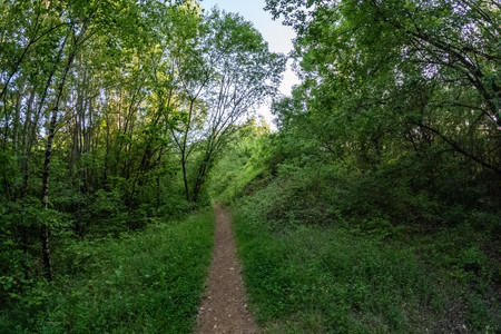 20260528_193209.jpg