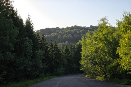 20260528_194556.jpg