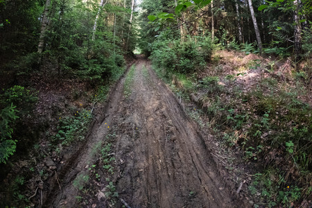 20260529_194201.jpg