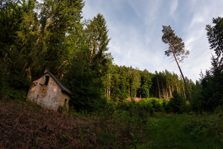 20260529_194403.jpg
