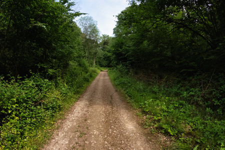 20260530_152848.jpg