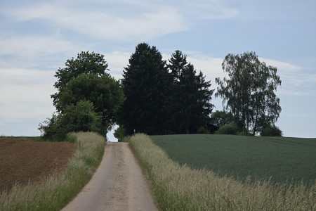 20260530_153535.jpg