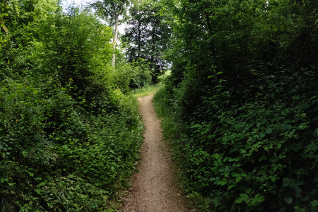 20260530_155638.jpg