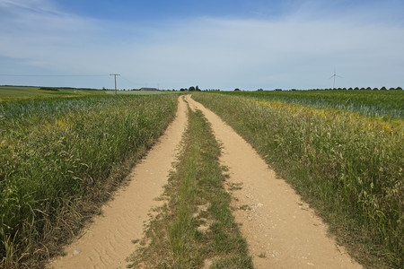 20260530_163917.jpg