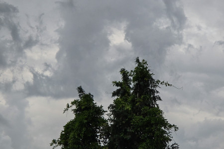 20260531_090816.jpg