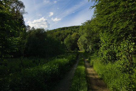 20260601_184257.jpg