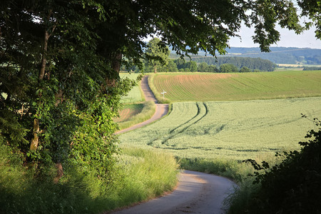 20260601_194536.jpg