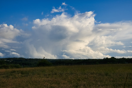 20260602_194438.jpg