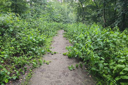 20260602_194528.jpg