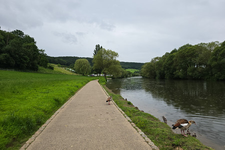 20260603_201801.jpg