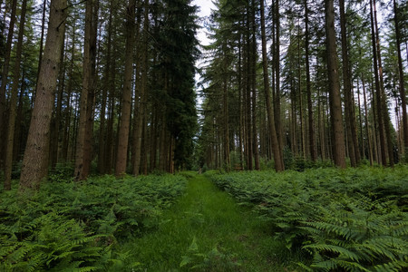 20260608_192753.jpg