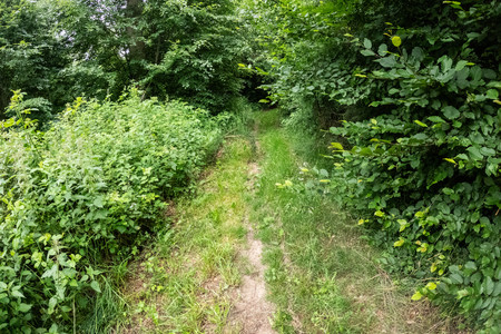 20260611_190411.jpg