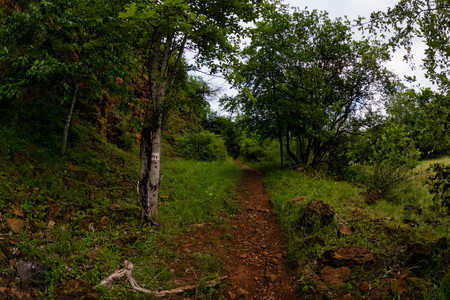 20260612_184509.jpg