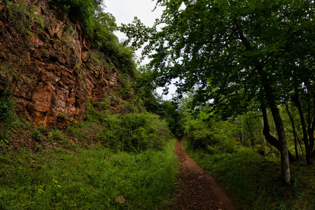 20260612_184523.jpg