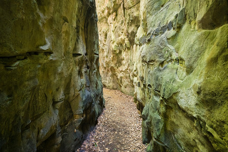 20260613_181841.jpg