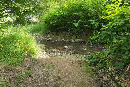 20260614_175007.jpg