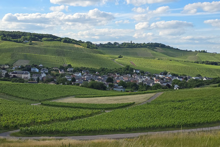 20260614_185657.jpg