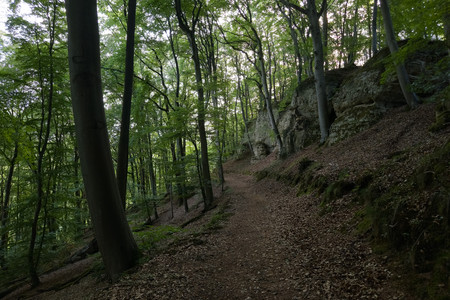 20260616_191317.jpg