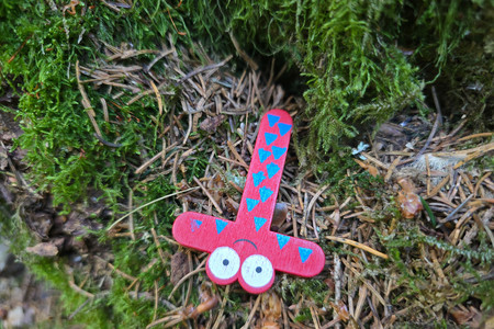 20260618_141827.jpg