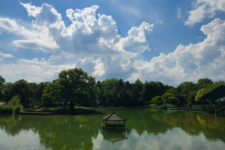 20260619_160523.jpg