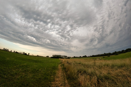 20260620_210151.jpg
