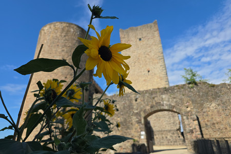 20260623_172527.jpg