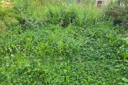 20260624_095445.jpg