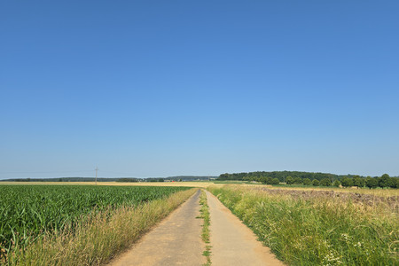 20260624_171942.jpg