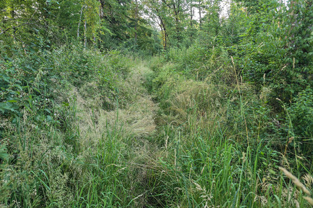 20260625_205110.jpg