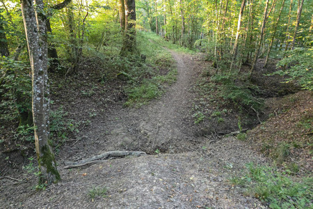 20260625_205459.jpg