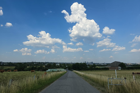 20260626_171001.jpg