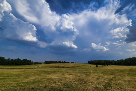 20260626_172527.jpg