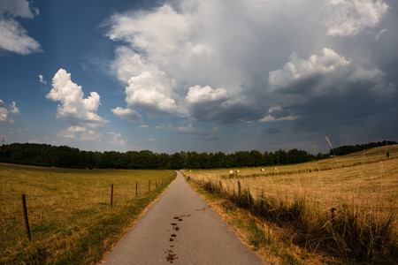 20260626_173546.jpg