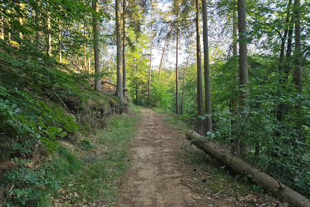 20260628_201044.jpg