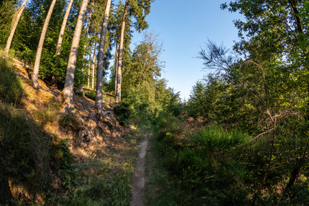 20260628_201216.jpg