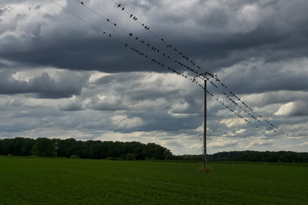 20260629_163514.jpg