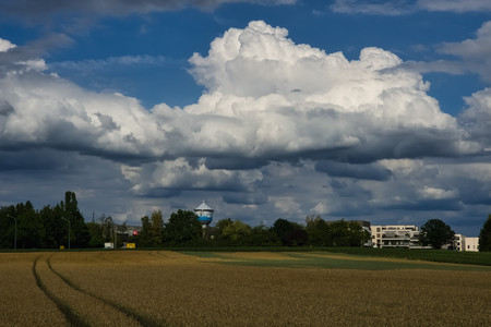 20260629_172431.jpg