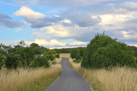 20260629_201632.jpg