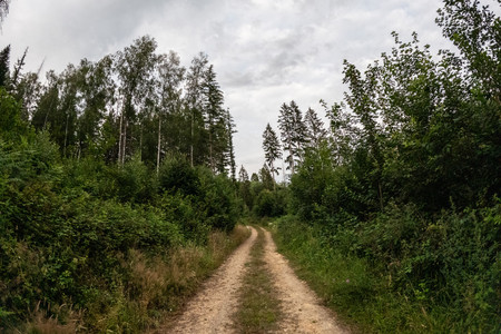 20260630_204350.jpg