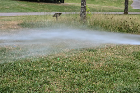 20260630_205621.jpg