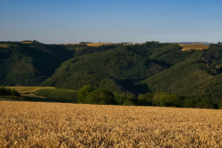 20260701_201256.jpg