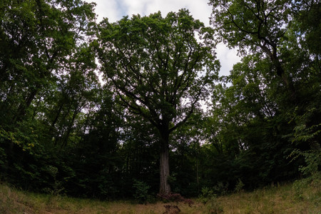 20260702_194910.jpg