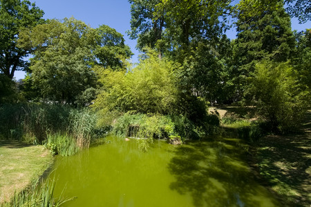 20260704_150608.jpg