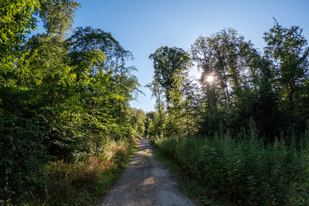 20260704_191851.jpg