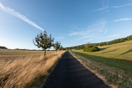 20260704_202922.jpg