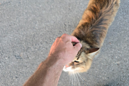 20260704_212641.jpg