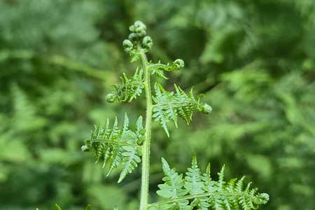 20260705_201539.jpg