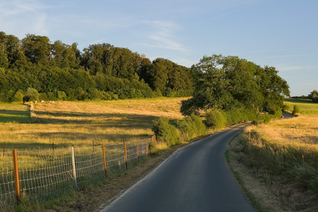 20260706_205223.jpg