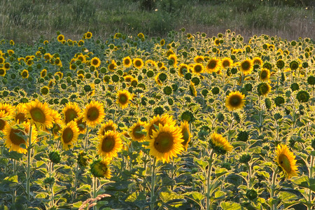 20260706_211344.jpg