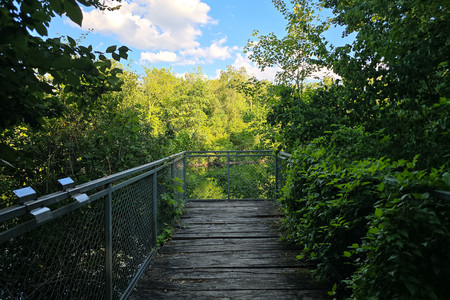 20260708_191211.jpg